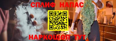 сатива Лесосибирск