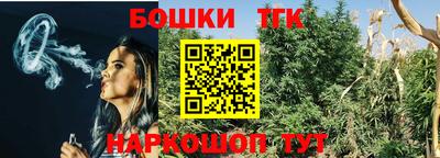 сатива Лесосибирск