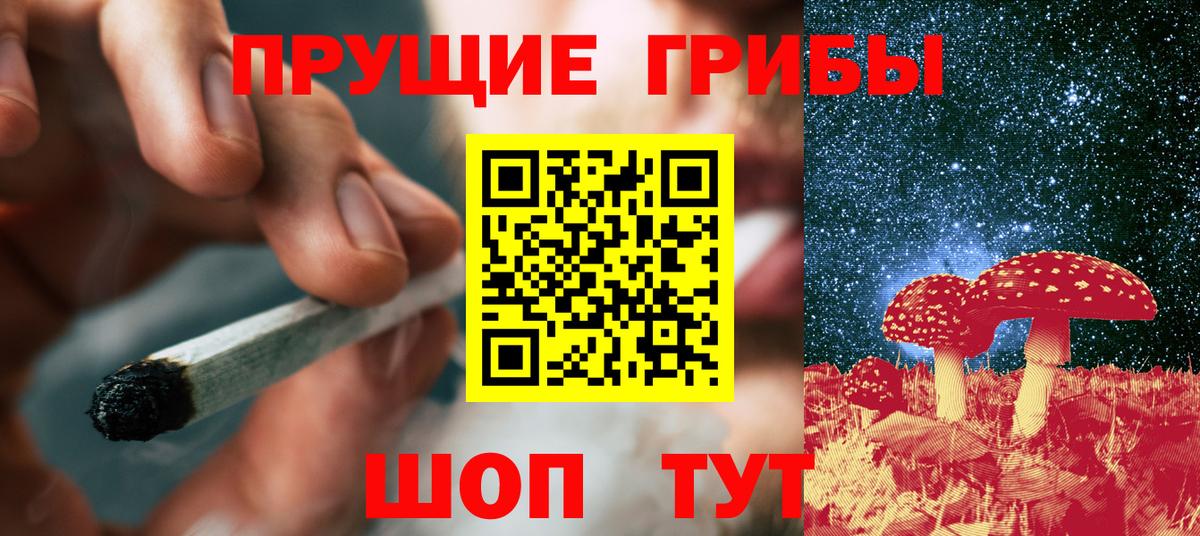 Галлюциногенные грибы Psilocybe  Псилоцибиновые грибы мицелий  Вход с VPN  Улан-Удэ 